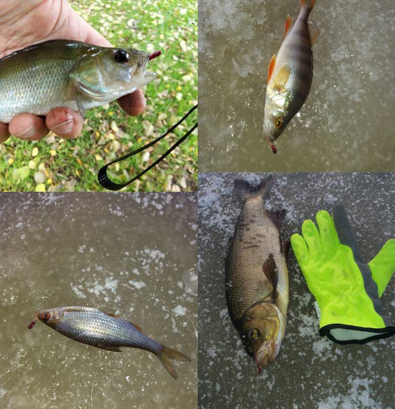 5pcs/Lot Linnhue Fishing Hook Stainless Steel Japan Barbed Overturned Hook Fishing Accessories Supplies Lure Carp Fishing Tackle
