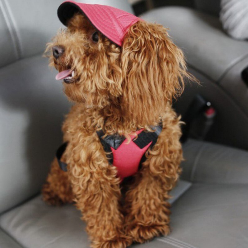 1Pcs Pet Dog Hat Cap Dog Summer Baseball Cap Canvas Small Dog Sunscreen Accessories Outdoor Hiking Pet Products