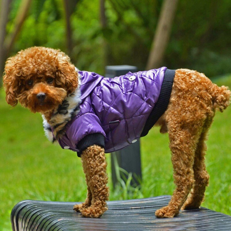 Winter Dog Clothes Warm Thicken Coat Jacket for Small Dog Puppy Pet Hoodie for Small Medium Dogs Yorkie French Bulldog Clothing Winter Dog Clothes Warm Thicken Coat Jacket for Small Dog Puppy Pet Hoodie for Small Medium Dogs Yorkie French Bulldog Clothing