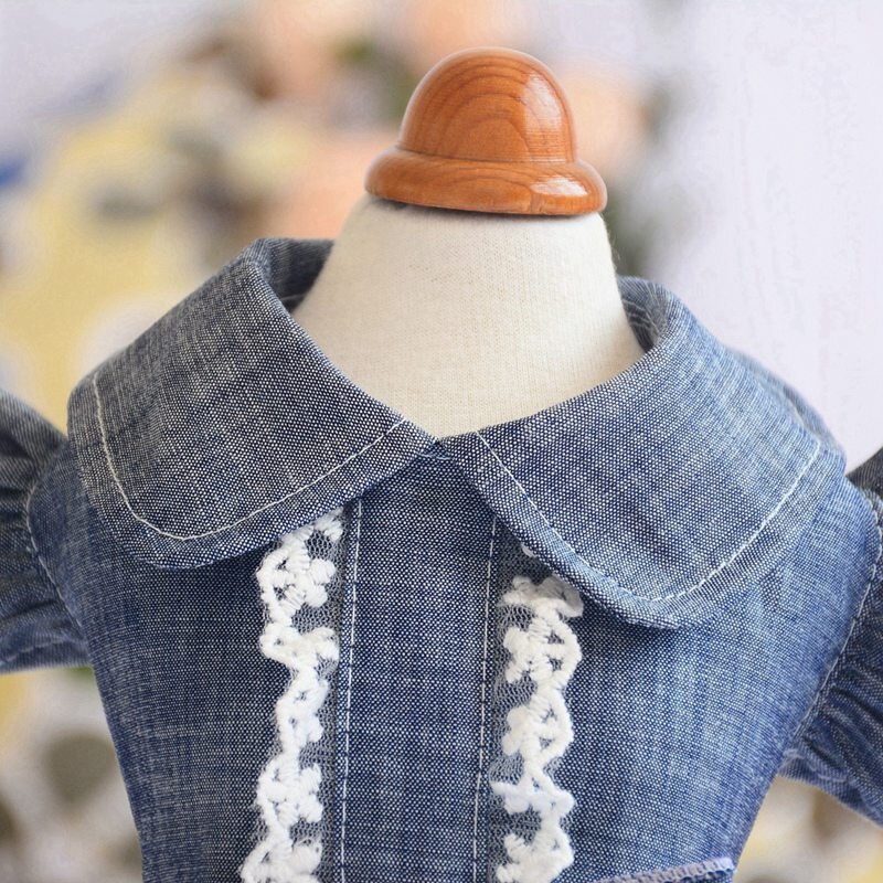 Summer Dog Jean Dress Pet Dog Clothes Dog Denim Dress Jeans Skirt Small Dog Dress Puppy Clothes Chihuahua Yorkies Teddy Summer Dog Jean Dress Pet Dog Clothes Dog Denim Dress Jeans Skirt Small Dog Dress Puppy Clothes Chihuahua Yorkies Teddy