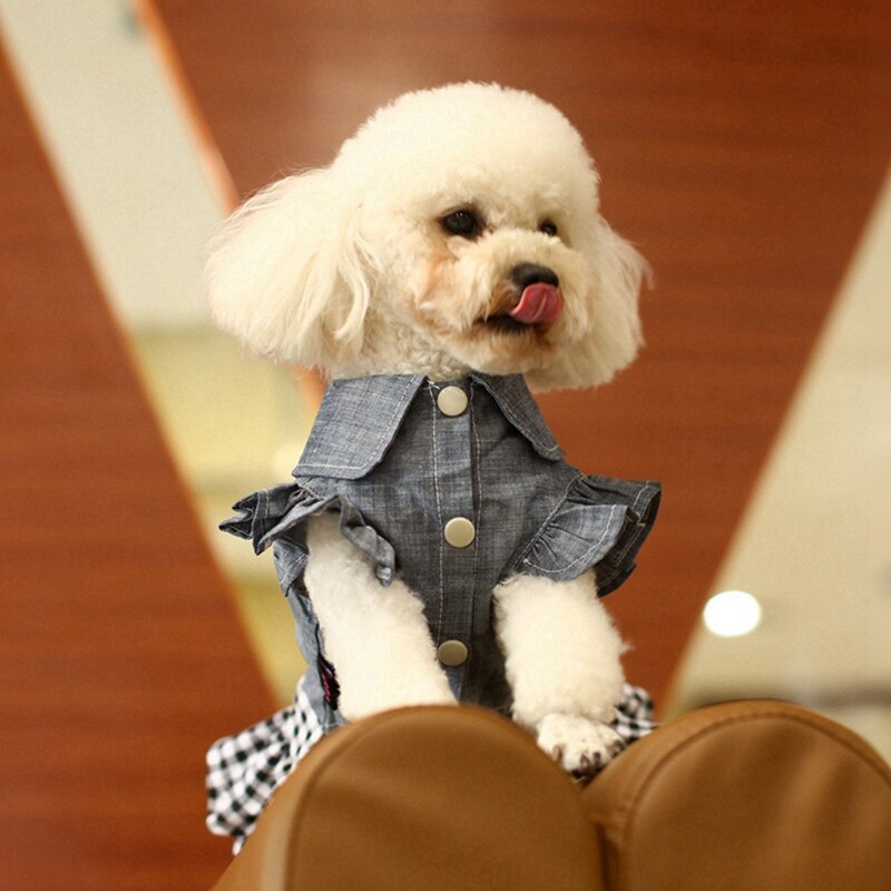 Summer Dog Jean Dress Pet Dog Clothes Dog Denim Dress Jeans Skirt Small Dog Dress Puppy Clothes Chihuahua Yorkies Teddy