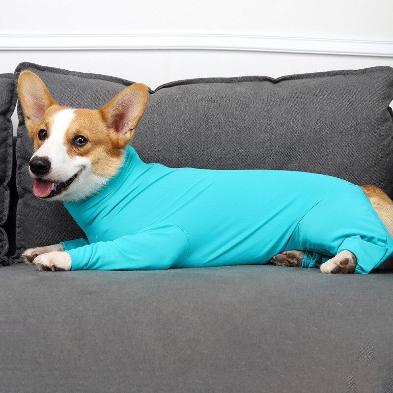 Surgery Recovery Clothes For Dogs One-piece Long-sleeve 4-legged Jumpsuit Pet Clothing Anti-lick Wound Sterilization Suit Surgery Recovery Clothes For Dogs One-piece Long-sleeve 4-legged Jumpsuit Pet Clothing Anti-lick Wound Sterilization Suit