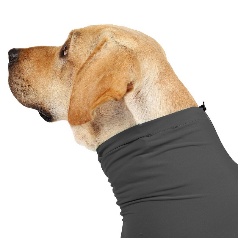 Surgery Recovery Clothes For Dogs One-piece Long-sleeve 4-legged Jumpsuit Pet Clothing Anti-lick Wound Sterilization Suit Surgery Recovery Clothes For Dogs One-piece Long-sleeve 4-legged Jumpsuit Pet Clothing Anti-lick Wound Sterilization Suit
