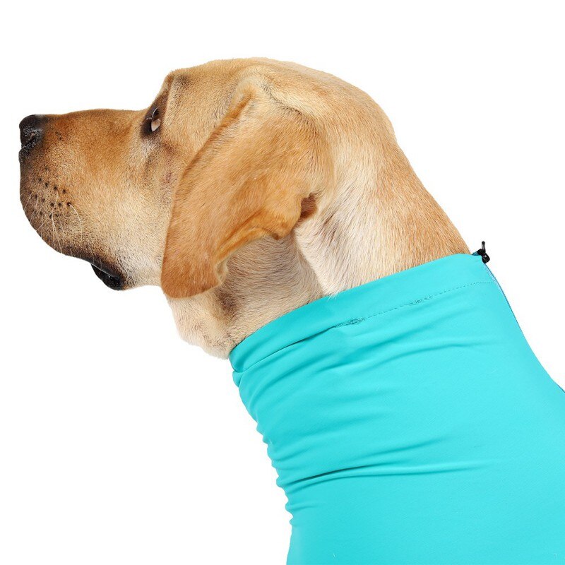 Surgery Recovery Clothes For Dogs One-piece Long-sleeve 4-legged Jumpsuit Pet Clothing Anti-lick Wound Sterilization Suit Surgery Recovery Clothes For Dogs One-piece Long-sleeve 4-legged Jumpsuit Pet Clothing Anti-lick Wound Sterilization Suit