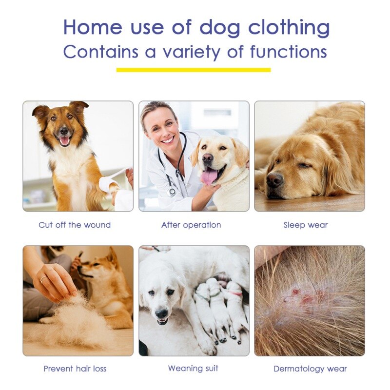 All Around High Elastic Four Legged Dog Home Physiological Clothing Anti Licking And Anti Mosquito Pet Dog Jumpsuit Supplies All Around High Elastic Four Legged Dog Home Physiological Clothing Anti Licking And Anti Mosquito Pet Dog Jumpsuit Supplies