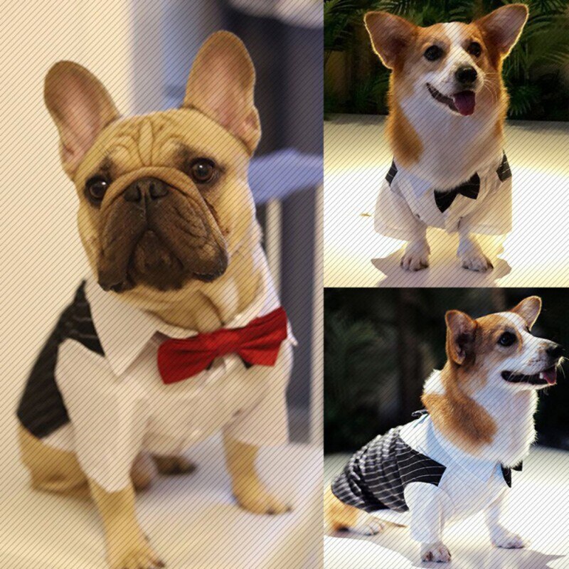 Gentleman Dog Clothes Wedding Suit Formal Shirt For Small Dogs Bowtie Tuxedo Pet Outfit Costume For Cats Spring And Summer Suits