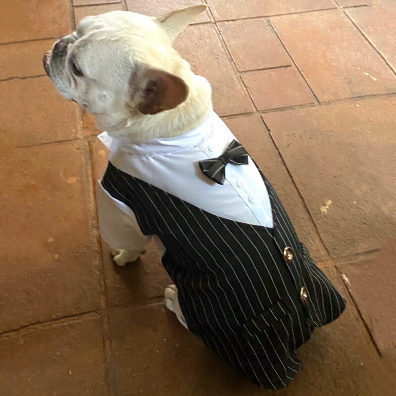 Gentleman Dog Clothes Wedding Suit Formal Shirt For Small Dogs Bowtie Tuxedo Pet Outfit Costume For Cats Spring And Summer Suits Gentleman Dog Clothes Wedding Suit Formal Shirt For Small Dogs Bowtie Tuxedo Pet Outfit Costume For Cats Spring And Summer Suits