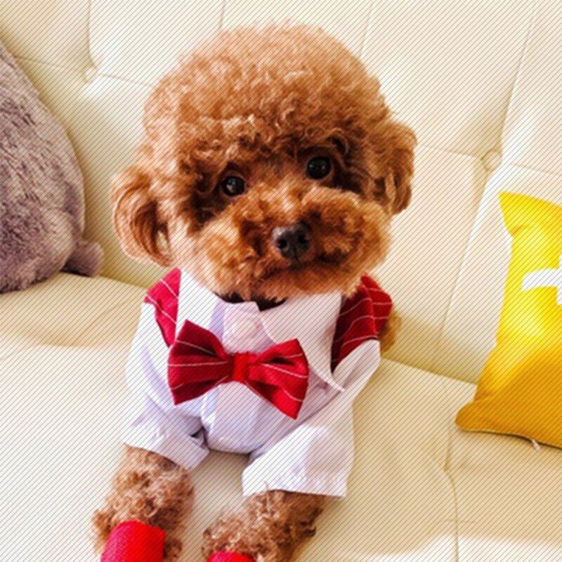 Gentleman Dog Clothes Wedding Suit Formal Shirt For Small Dogs Bowtie Tuxedo Pet Outfit Costume For Cats Spring And Summer Suits