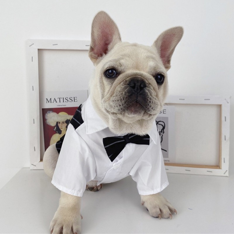 Gentleman Dog Clothes Wedding Suit Formal Shirt For Small Dogs Bowtie Tuxedo Pet Outfit Costume For Cats Spring And Summer Suits Gentleman Dog Clothes Wedding Suit Formal Shirt For Small Dogs Bowtie Tuxedo Pet Outfit Costume For Cats Spring And Summer Suits