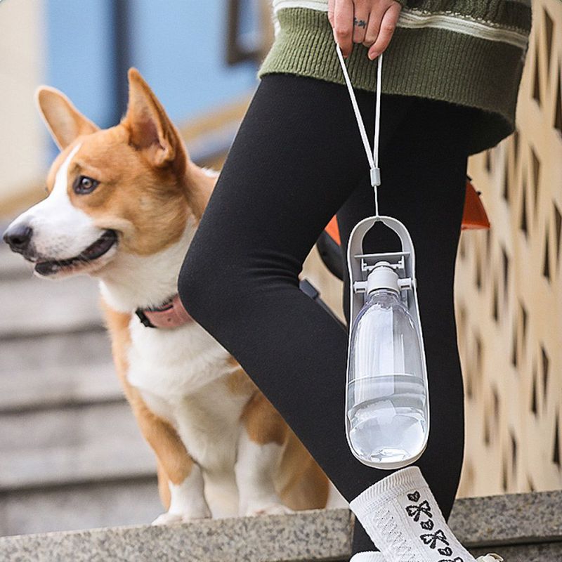 Portable Pet Dog Cat Water Bottle Travel Cups Drinking Bowl Outdoor Feeder Leak Proof Dog Water Dispenser Pet Products For Dogs Portable Pet Dog Cat Water Bottle Travel Cups Drinking Bowl Outdoor Feeder Leak Proof Dog Water Dispenser Pet Products For Dogs