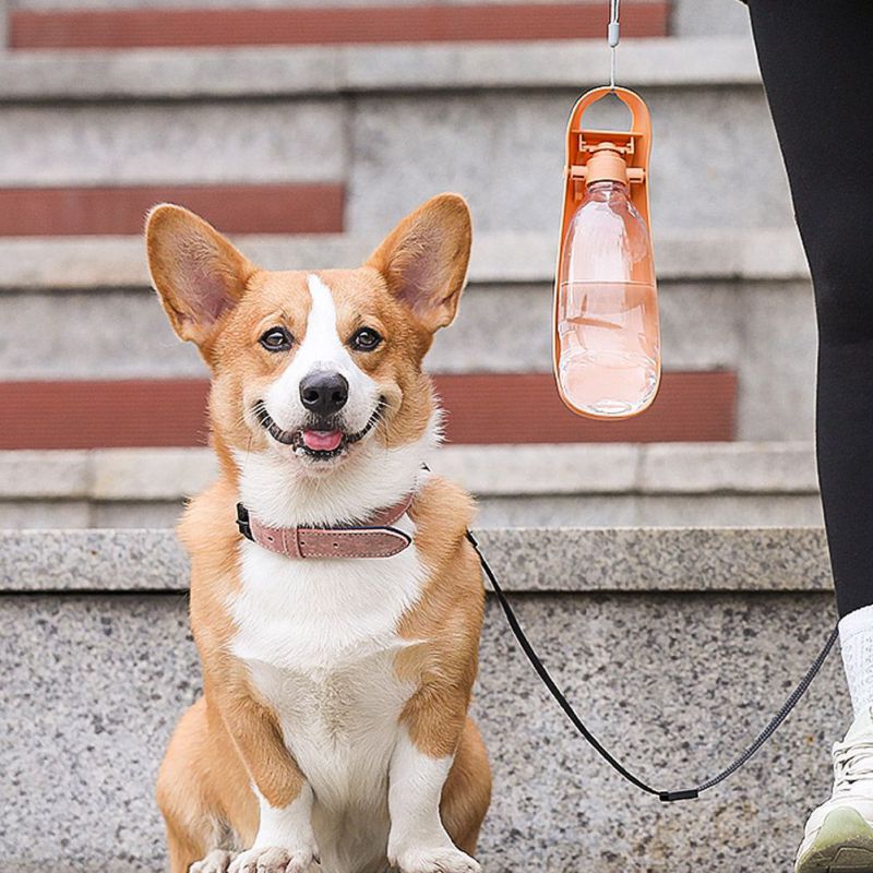 Portable Pet Dog Cat Water Bottle Travel Cups Drinking Bowl Outdoor Feeder Leak Proof Dog Water Dispenser Pet Products For Dogs