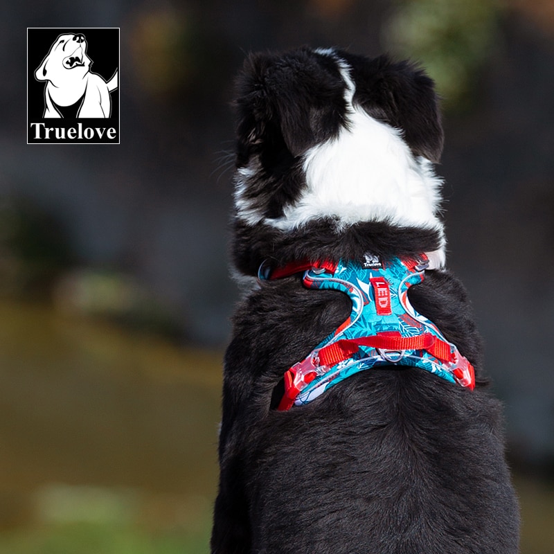 Truelove Pet Harness Small Medium Large Split Dog Fashion Outdoor Dropshipping Truelove Pet Harness Small Medium Large Split Dog Fashion Outdoor Dropshipping