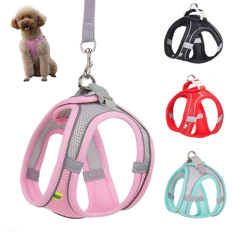 Dog Harness Leash Set for Small Dogs Adjustable Puppy Cat Harness Vest French Bulldog Chihuahua Pug Outdoor Walking Lead Leash Dog Harness Leash Set for Small Dogs Adjustable Puppy Cat Harness Vest French Bulldog Chihuahua Pug Outdoor Walking Lead Leash