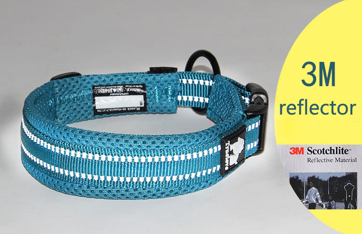 Truelove Adjustable Mesh Padded Pet Dog Collar 3M Reflective Nylon Dog Collar Durable Heavy Duty for all breed all weather 8size Truelove Adjustable Mesh Padded Pet Dog Collar 3M Reflective Nylon Dog Collar Durable Heavy Duty for all breed all weather 8size