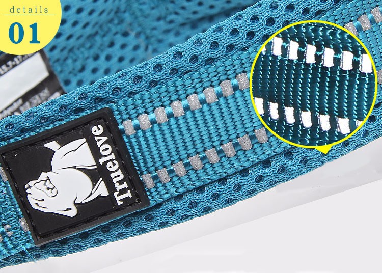 Truelove Adjustable Mesh Padded Pet Dog Collar 3M Reflective Nylon Dog Collar Durable Heavy Duty for all breed all weather 8size