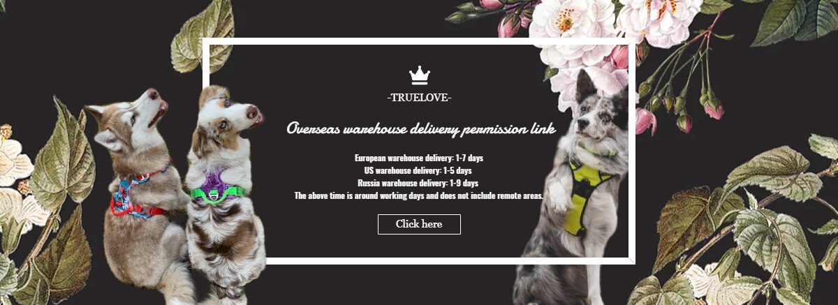 Truelove Adjustable Mesh Padded Pet Dog Collar 3M Reflective Nylon Dog Collar Durable Heavy Duty for all breed all weather 8size