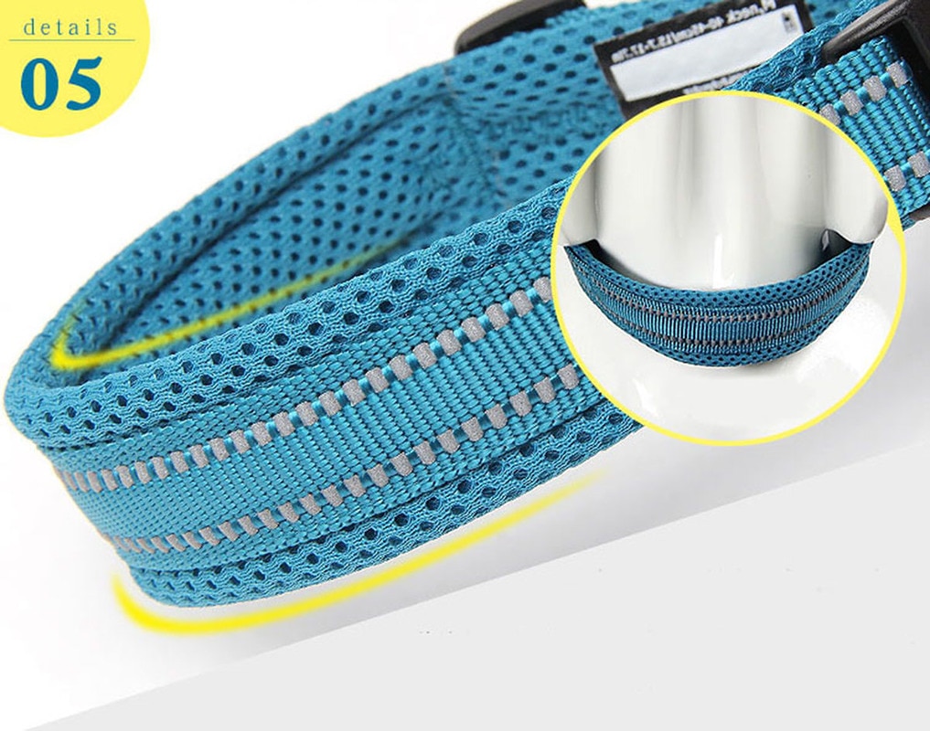Truelove Adjustable Mesh Padded Pet Dog Collar 3M Reflective Nylon Dog Collar Durable Heavy Duty for all breed all weather 8size Truelove Adjustable Mesh Padded Pet Dog Collar 3M Reflective Nylon Dog Collar Durable Heavy Duty for all breed all weather 8size