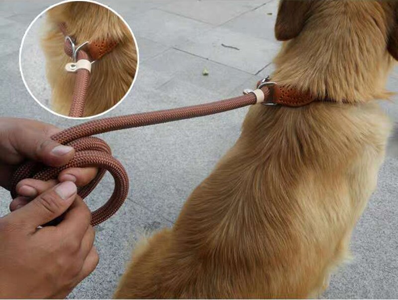 Dog Leash Slip Rope Lead Leash Heavy Duty Braided Rope Adjustable Loop Collar Training Leashes for Medium Large Dogs Dog Leash Slip Rope Lead Leash Heavy Duty Braided Rope Adjustable Loop Collar Training Leashes for Medium Large Dogs