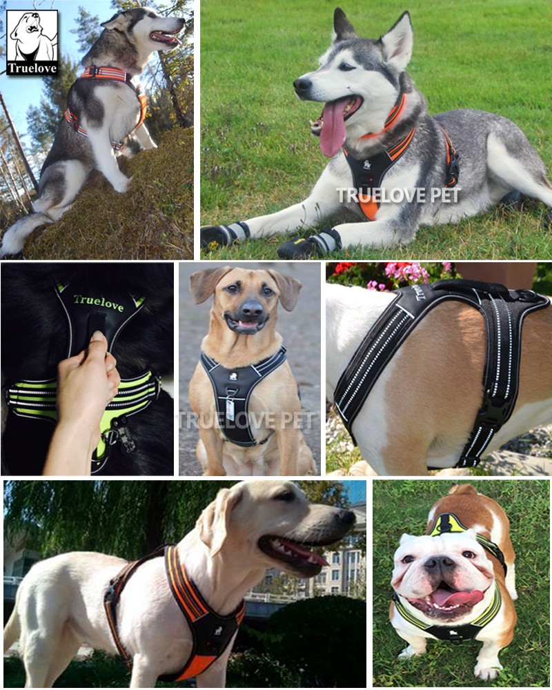 Truelove Sport Nylon Reflective No Pull Dog Harness Outdoor Adventure Pet Vest with Handle xs to xl 5 colors in stock factory Truelove Sport Nylon Reflective No Pull Dog Harness Outdoor Adventure Pet Vest with Handle xs to xl 5 colors in stock factory