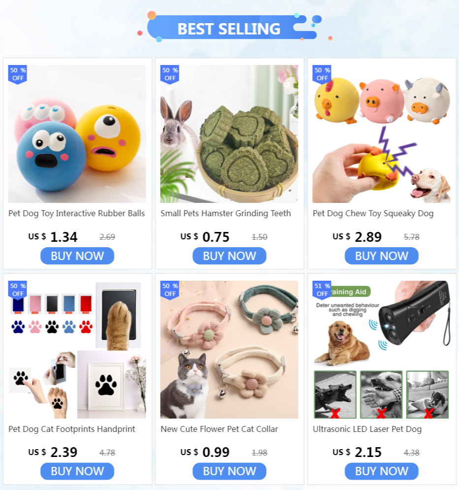 Anti-lost Custom Dog ID Tag Engraved Pet Dog Collar Accessories Personalized Cat Puppy ID Tag Stainless Steel Bone/Paw Name Tags