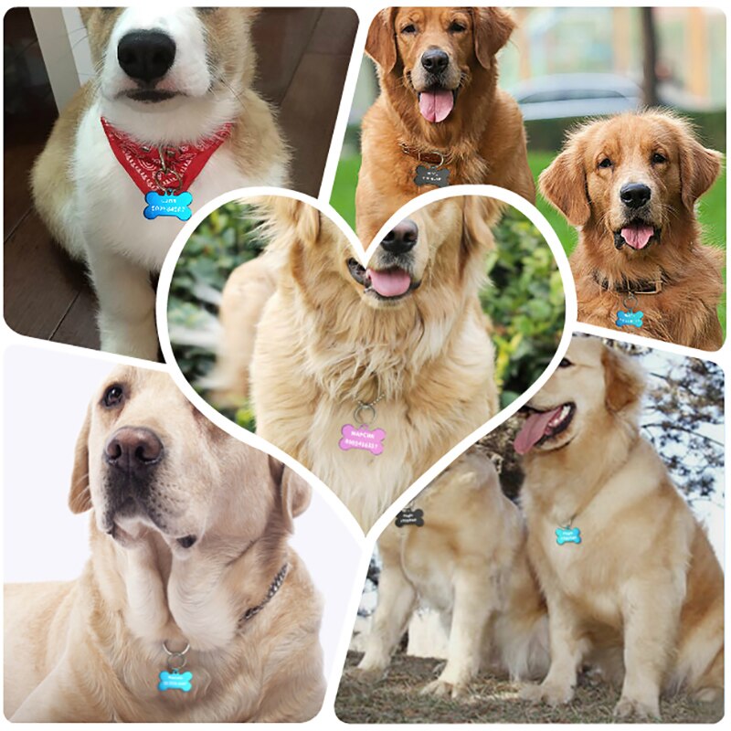 2pcs Personalized Engraving Anti-lost Dog ID Tag Identification Customized Pet Name Puppy Collar Dog Cat Bone Tags Pet Supplies