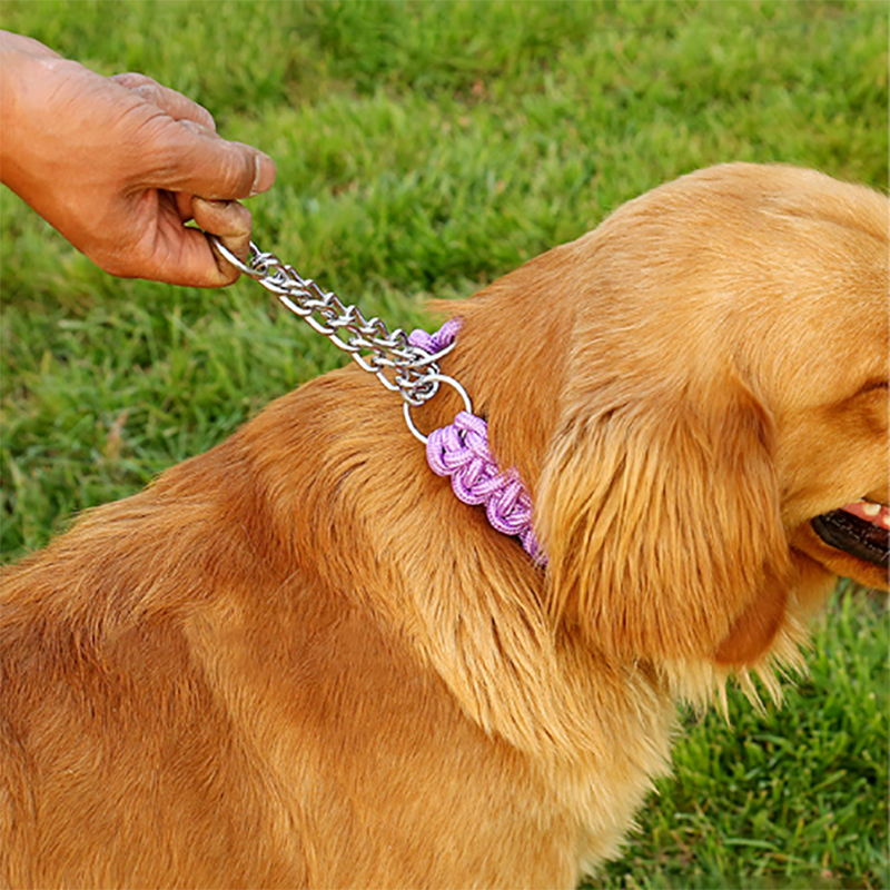 Nylon Dog Harness Leash For Medium Large Dogs Leads Pet Training Running Walking Safety Mountain Climb Dog Leashes Ropes supply