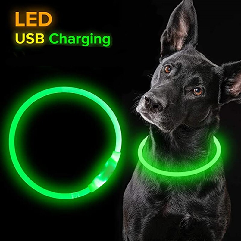 Led Usb Dog Collar Pet Dog Night Luminous Charge Collar Led Night Safety Flashing Glow Dog Loss Prevention Collar Pet Accessorie Led Usb Dog Collar Pet Dog Night Luminous Charge Collar Led Night Safety Flashing Glow Dog Loss Prevention Collar Pet Accessorie