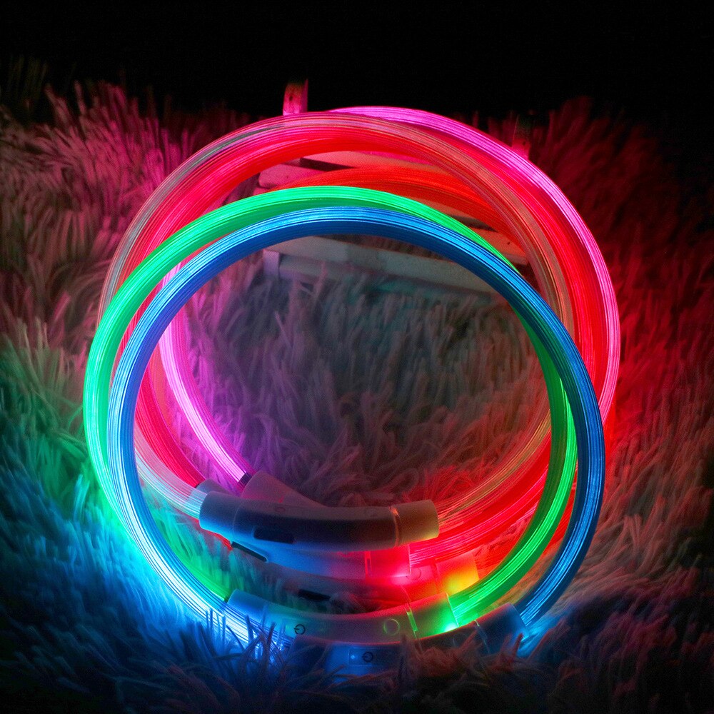 Led Usb Dog Collar Pet Dog Night Luminous Charge Collar Led Night Safety Flashing Glow Dog Loss Prevention Collar Pet Accessorie Led Usb Dog Collar Pet Dog Night Luminous Charge Collar Led Night Safety Flashing Glow Dog Loss Prevention Collar Pet Accessorie