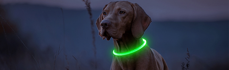 Led Usb Dog Collar Pet Dog Night Luminous Charge Collar Led Night Safety Flashing Glow Dog Loss Prevention Collar Pet Accessorie