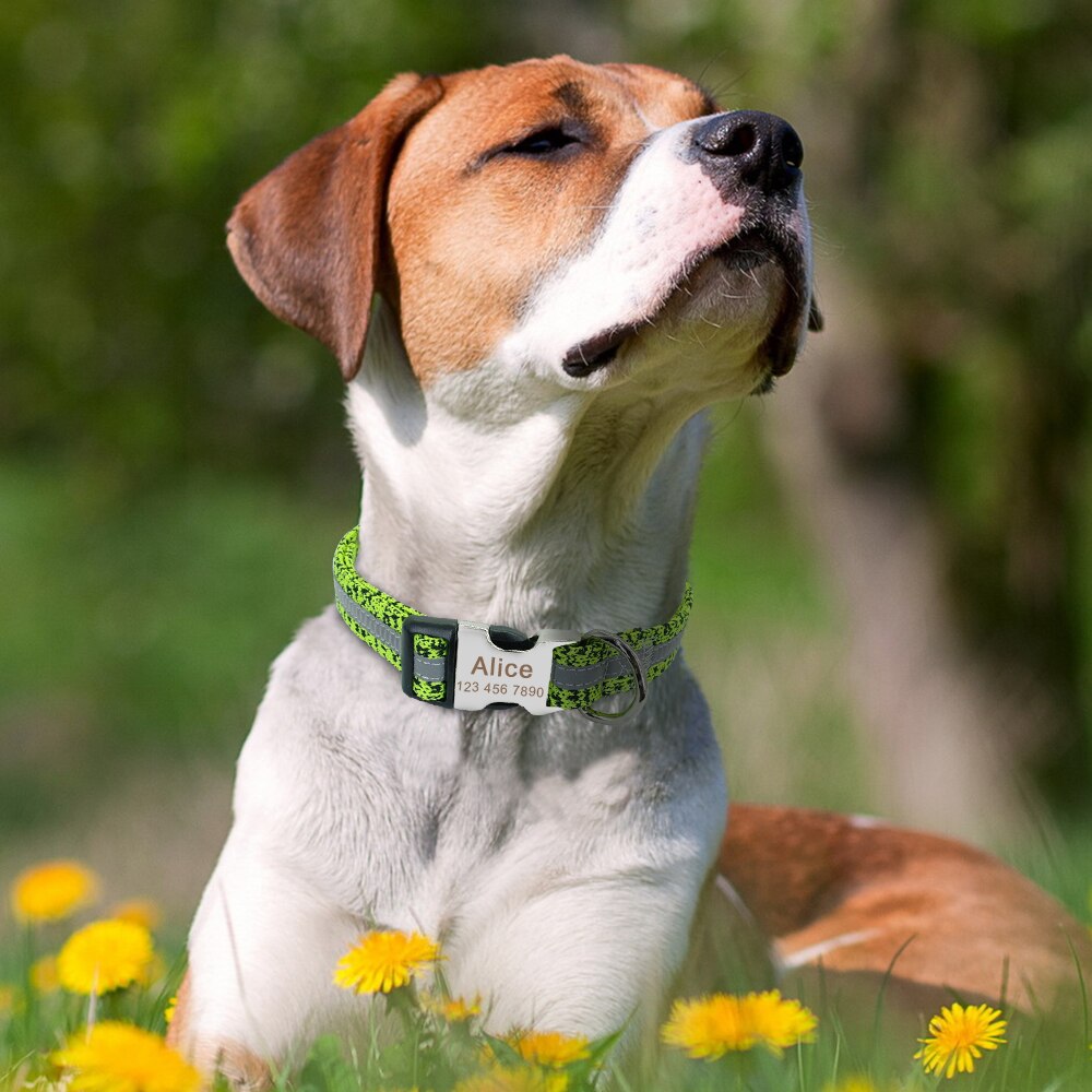 Custom Engraved Dog Collar Personalized Nylon Pet Dog Tag Collar Printed Puppy Cat Nameplate ID Collars For Small Large Dogs