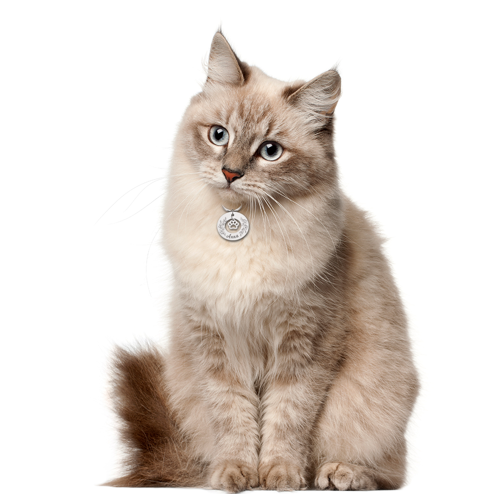 Pet ID Tags Customized Pet Collar Dogs Name Tag Anti-lost Personalized Cat Puppy ID Tag Pendant Free Engraved Collar Accessories