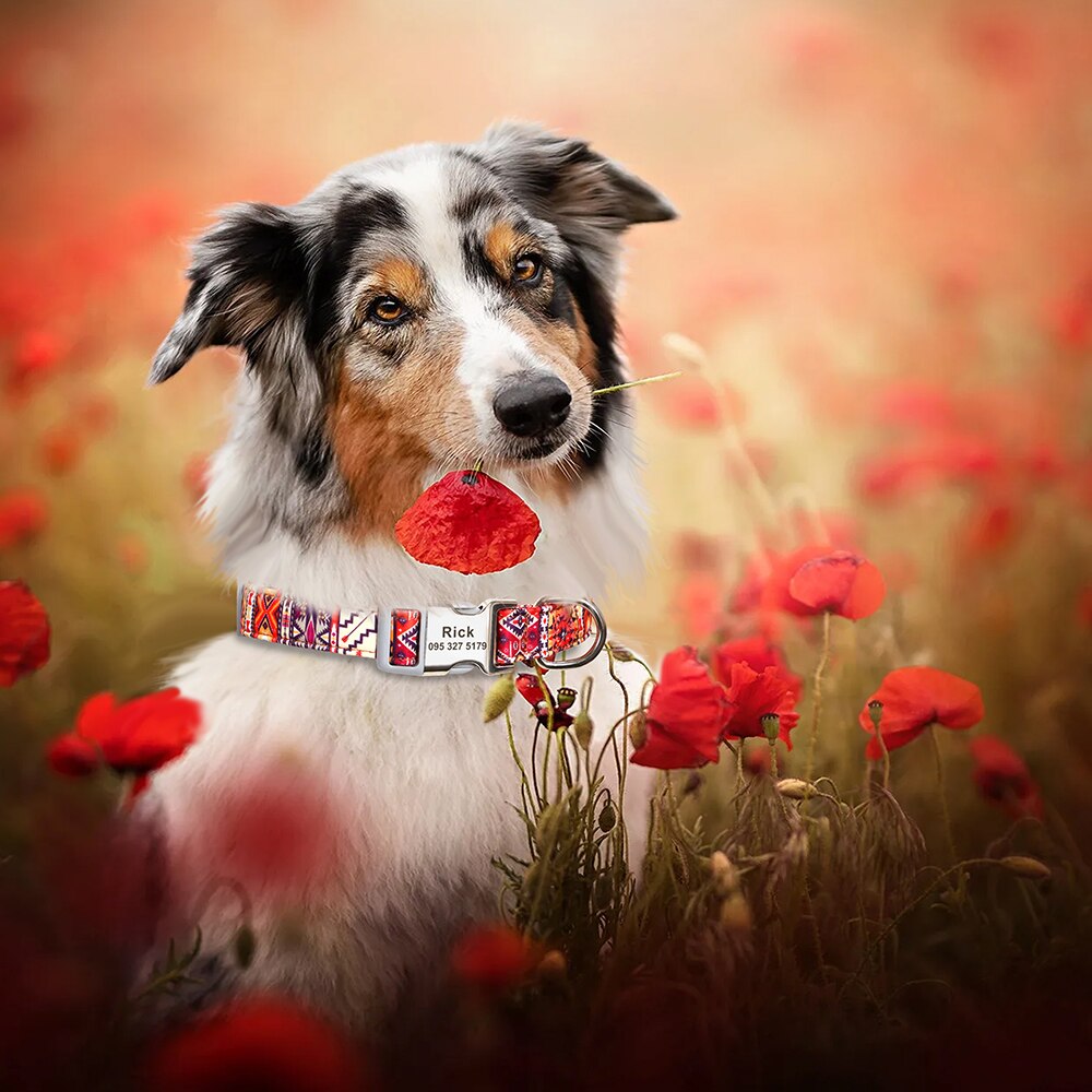 Custom Large Dog Collar Cute Print Personalized Pet Collar Nylon Puppy Dogs ID Collars Engraved Name for Small Medium Large Dog Custom Large Dog Collar Cute Print Personalized Pet Collar Nylon Puppy Dogs ID Collars Engraved Name for Small Medium Large Dog