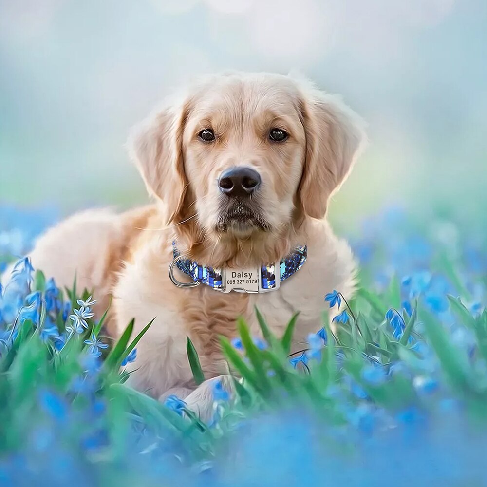 Custom Large Dog Collar Cute Print Personalized Pet Collar Nylon Puppy Dogs ID Collars Engraved Name for Small Medium Large Dog Custom Large Dog Collar Cute Print Personalized Pet Collar Nylon Puppy Dogs ID Collars Engraved Name for Small Medium Large Dog