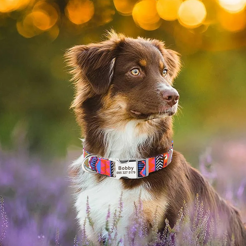 Custom Large Dog Collar Cute Print Personalized Pet Collar Nylon Puppy Dogs ID Collars Engraved Name for Small Medium Large Dog Custom Large Dog Collar Cute Print Personalized Pet Collar Nylon Puppy Dogs ID Collars Engraved Name for Small Medium Large Dog