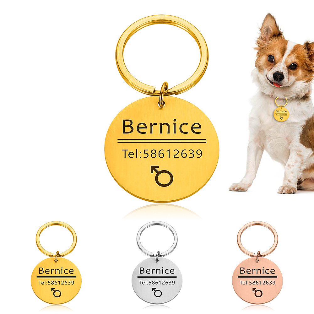 Personalized Cat Dog Pet ID Tag Keychain Engraved Pet ID Name for Cat Puppy Dog Collar Tag Pendant Keyring Bone Pet Accessories Personalized Cat Dog Pet ID Tag Keychain Engraved Pet ID Name for Cat Puppy Dog Collar Tag Pendant Keyring Bone Pet Accessories