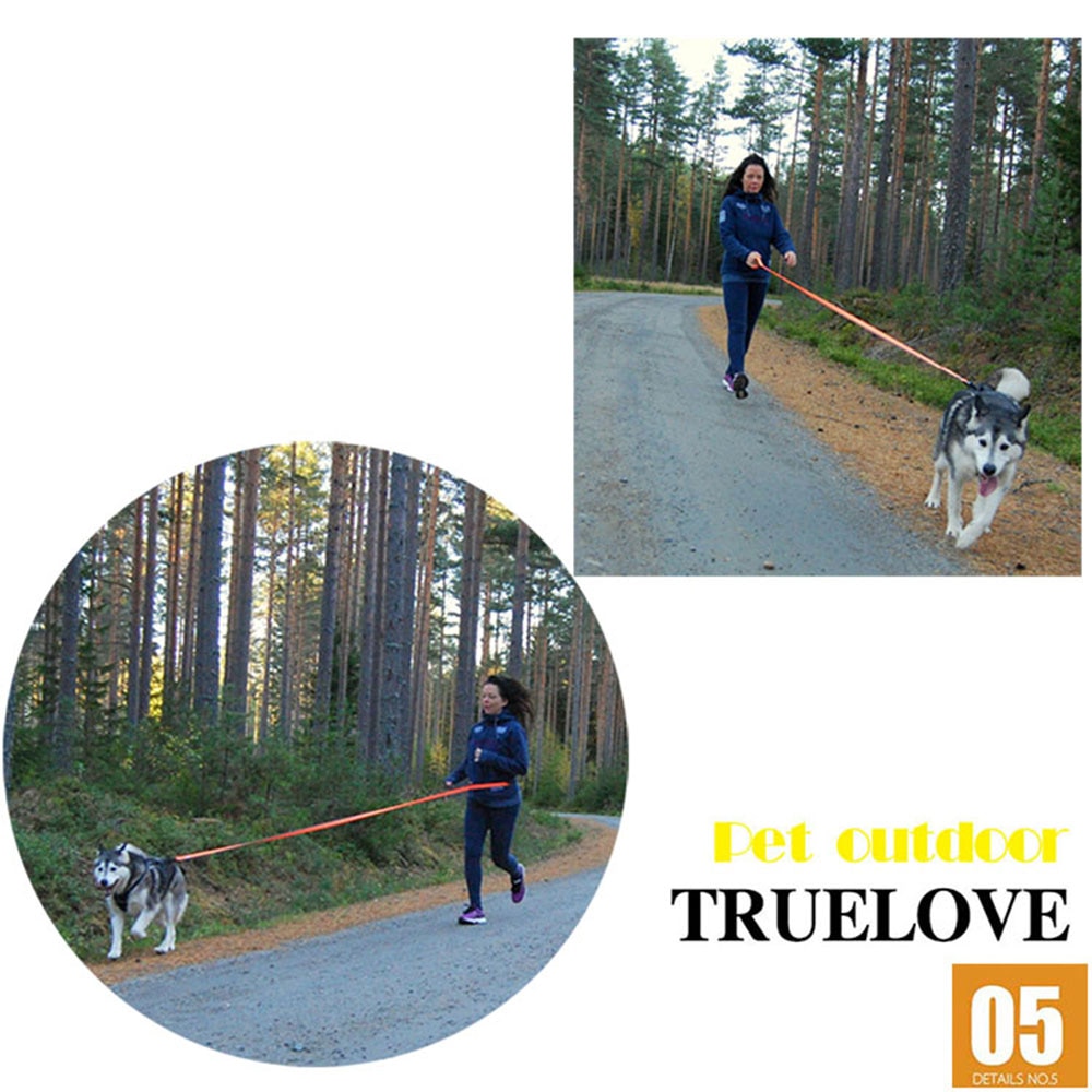 Truelove Dog Running Bungee Leash Hand-held Waistworn Adjustable Nylon Elastic Retractable Dog Leads for Running Jogging Walking Truelove Dog Running Bungee Leash Hand-held Waistworn Adjustable Nylon Elastic Retractable Dog Leads for Running Jogging Walking