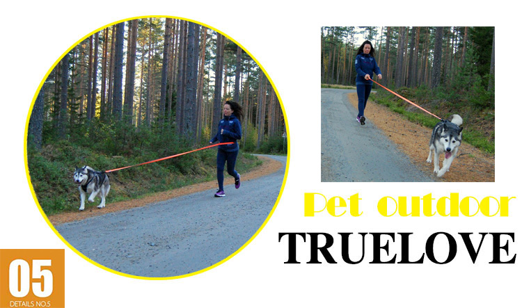 Truelove Dog Running Bungee Leash Hand-held Waistworn Adjustable Nylon Elastic Retractable Dog Leads for Running Jogging Walking Truelove Dog Running Bungee Leash Hand-held Waistworn Adjustable Nylon Elastic Retractable Dog Leads for Running Jogging Walking