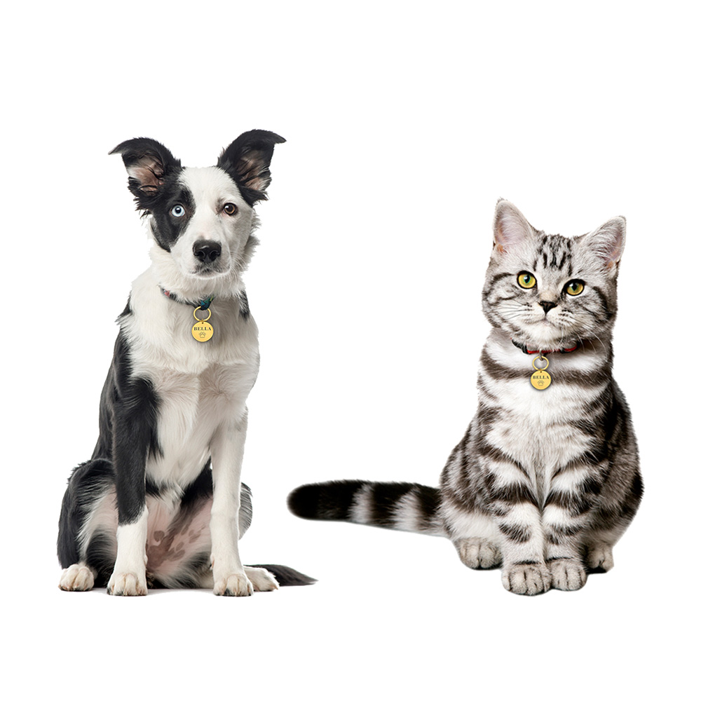 Custom Name Anti-lost IDTag Engraved Record Tel Address Cat Puppy Personalized Paw Print Medal Pendant Dog Pet Collar Accessory