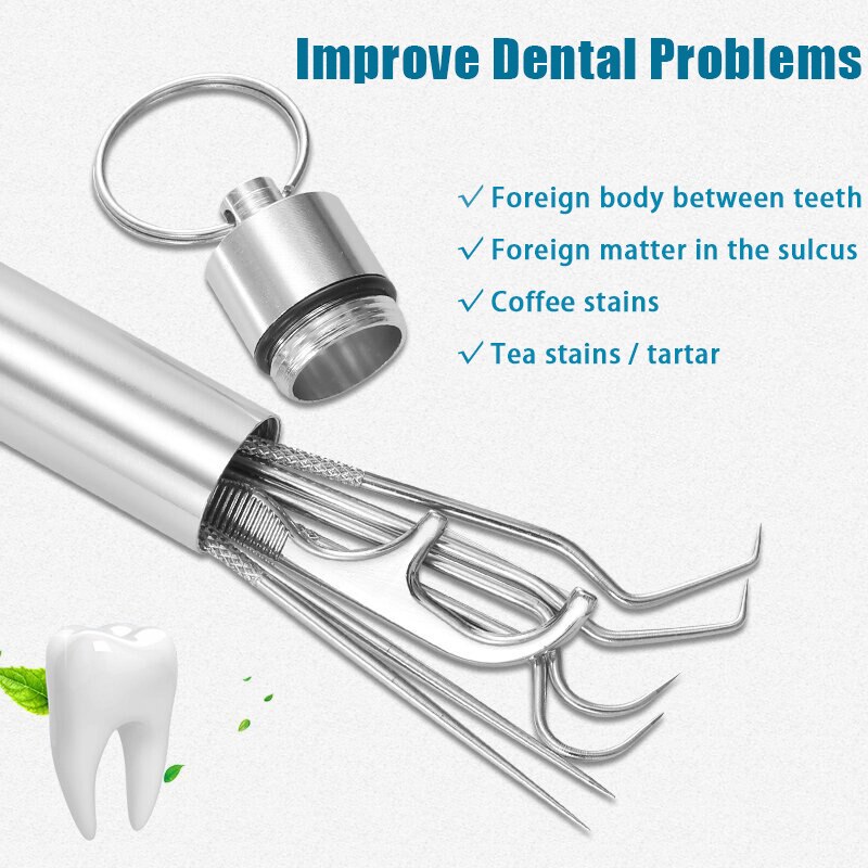 Stainless Steel Toothpick Set Tooth Flossing Reusable Toothpicks Portable Toothpick Floss Teeth Cleaner Oral Cleaning