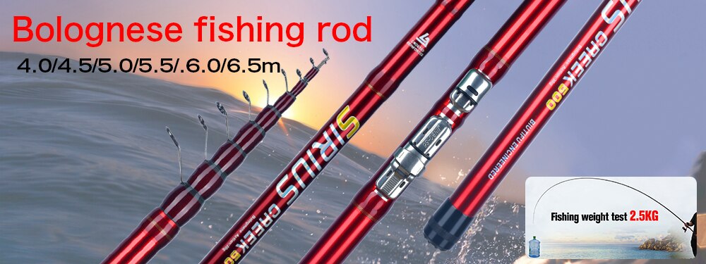 BIUTIFU BIGFISH Carp Fishing Rod 4.2/3.9/3.6/3.0m T800 Carbon Fibre 3.5lb Throwing 40-200g Travel Surfcasting Spinning Hard Pole