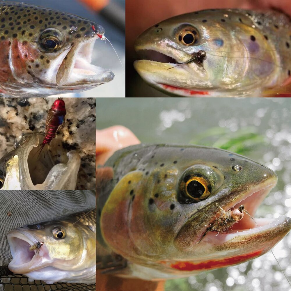 EliteTG 100pcs 1.5-3.5mm Tungsten countersunk Beads Fly Tying Material  Alloy tungsten Beads Nymph Head Ball DIY Trout Flies