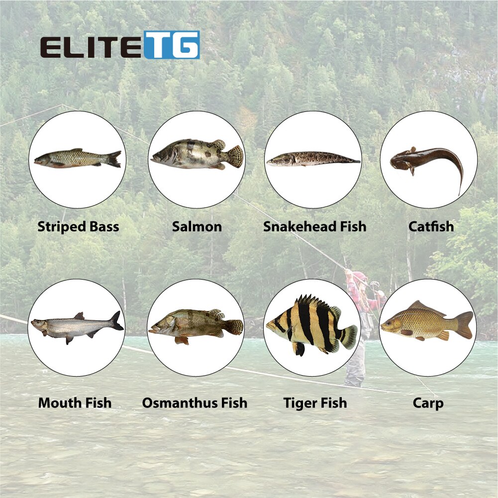 Elite TG 150pcs Tungsten Slotted Beads 2.5mm-3.8mm Fly Tying Material Multi-Color light pink salmon pink  Fly Fishing Accessory