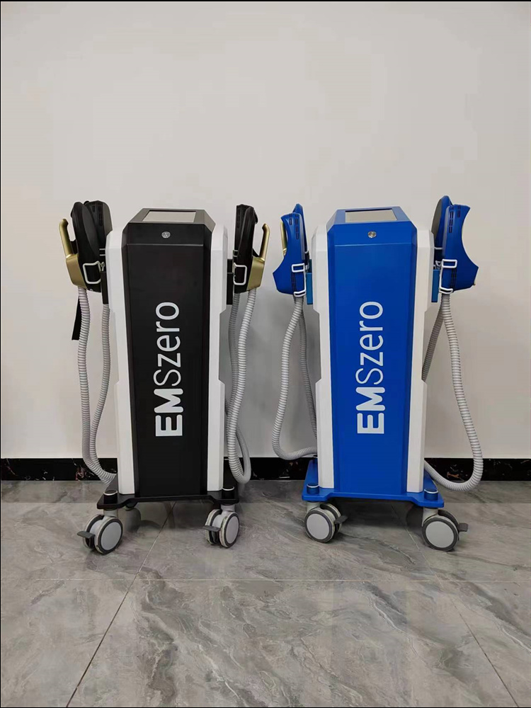 DLS-EMSLIM 6500W 14Tesla EMS NEO Emszero Body Slim Machine HI-EMT Electromagnetic Fat Removal Muscle Sculpt Gainer For Salon