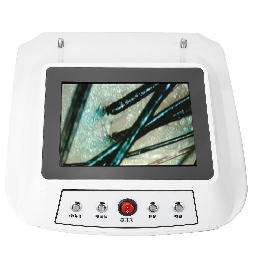Multifunctional Scalp Care Instrument Nanometer Spray Hair Therapy Machines Head Skin Care Device Nano Sprayer for Hair Salon Multifunctional Scalp Care Instrument Nanometer Spray Hair Therapy Machines Head Skin Care Device Nano Sprayer for Hair Salon
