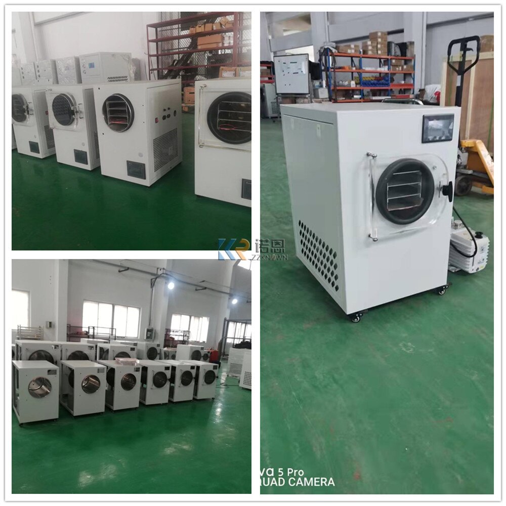 Small Machine Home Dryer Mini Food Vacuum Freeze Drying Machine Home Use Vegetable Freezer Dryer With Pump For Sale
