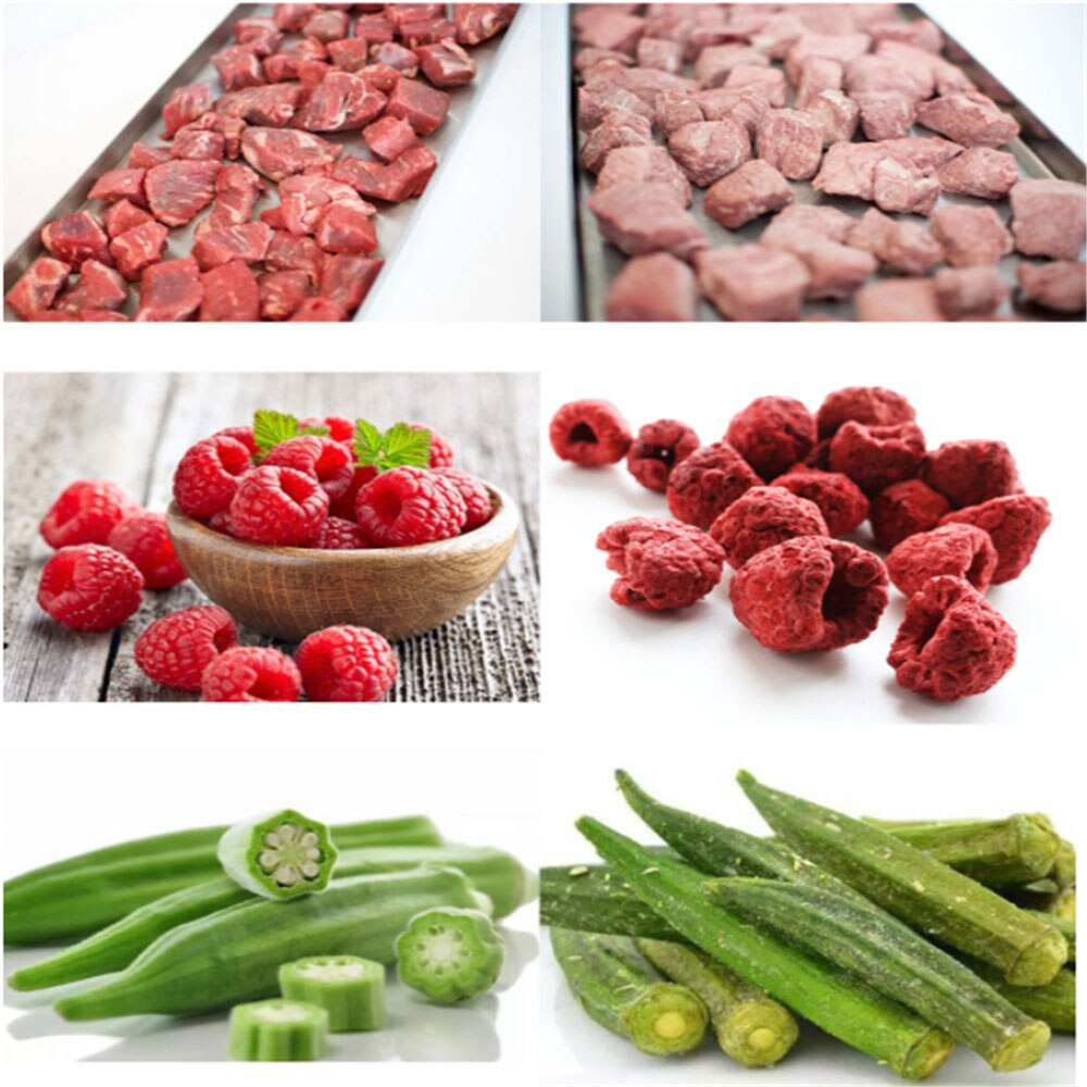 Small Machine Home Dryer Mini Food Vacuum Freeze Drying Machine Home Use Vegetable Freezer Dryer With Pump For Sale