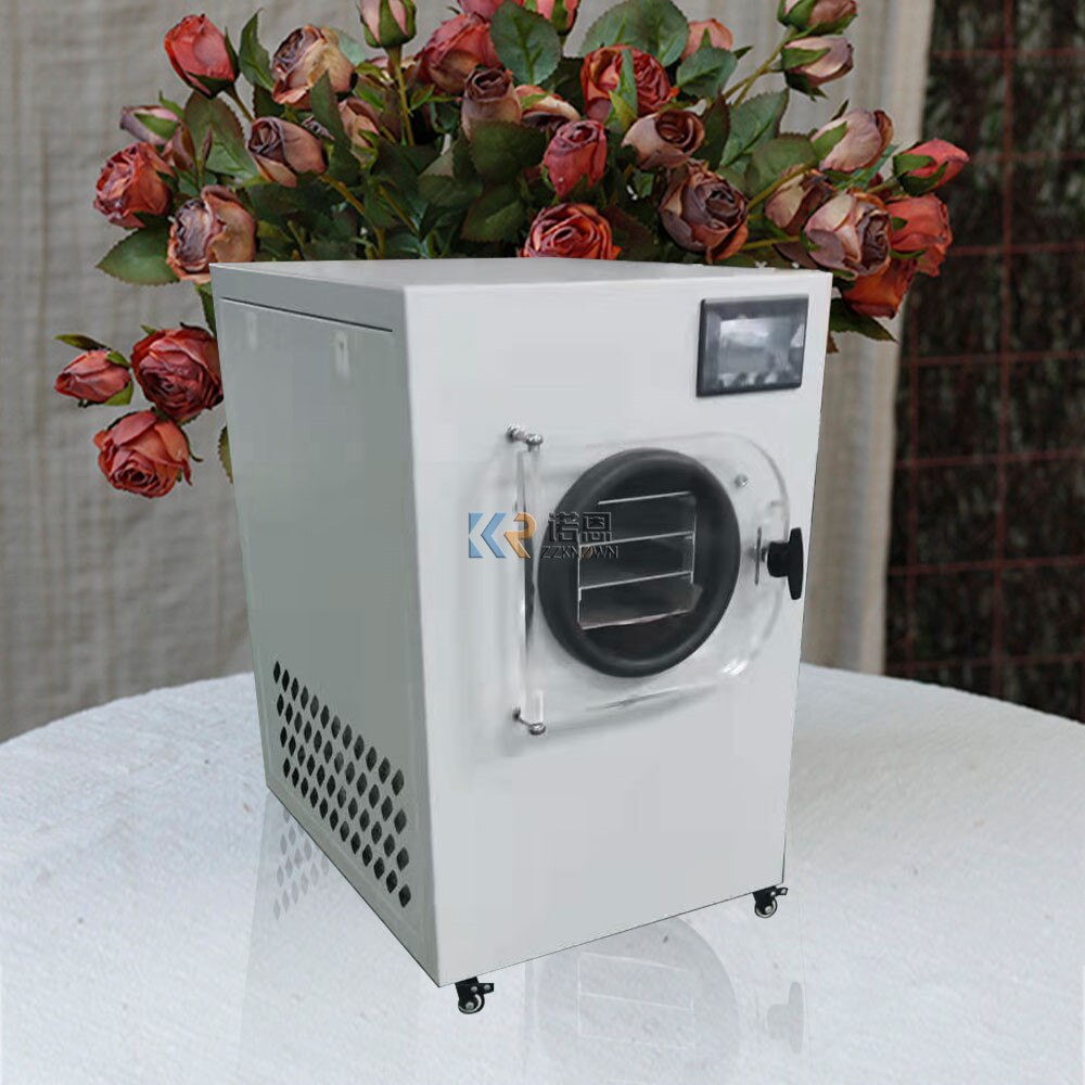Small Machine Home Dryer Mini Food Vacuum Freeze Drying Machine Home Use Vegetable Freezer Dryer With Pump For Sale