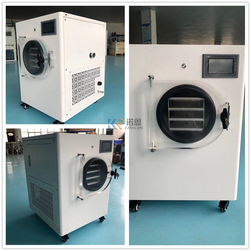 Small Machine Home Dryer Mini Food Vacuum Freeze Drying Machine Home Use Vegetable Freezer Dryer With Pump For Sale