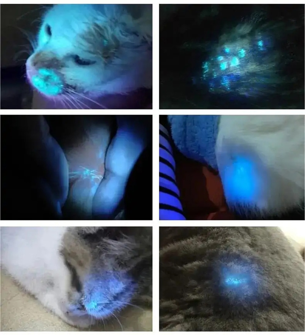 Woods Lamp For Skin Analyzer Machine Ultraviolet Lamp UV Skin Examination Beauty Test Facial Magnifying Analysis Vitiligo Lamp Woods Lamp For Skin Analyzer Machine Ultraviolet Lamp UV Skin Examination Beauty Test Facial Magnifying Analysis Vitiligo Lamp