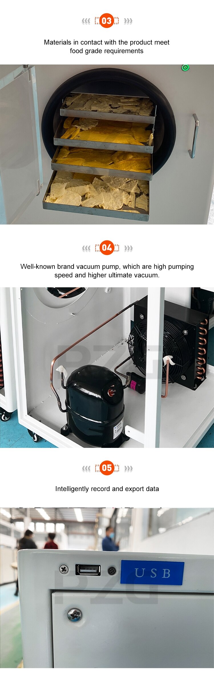 Vacuum Fruit Freeze Drying Dried Machines Mini Vegetables Lyophilizer Food Freezer Dryer